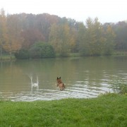 Photo de profil : mike Gaillard