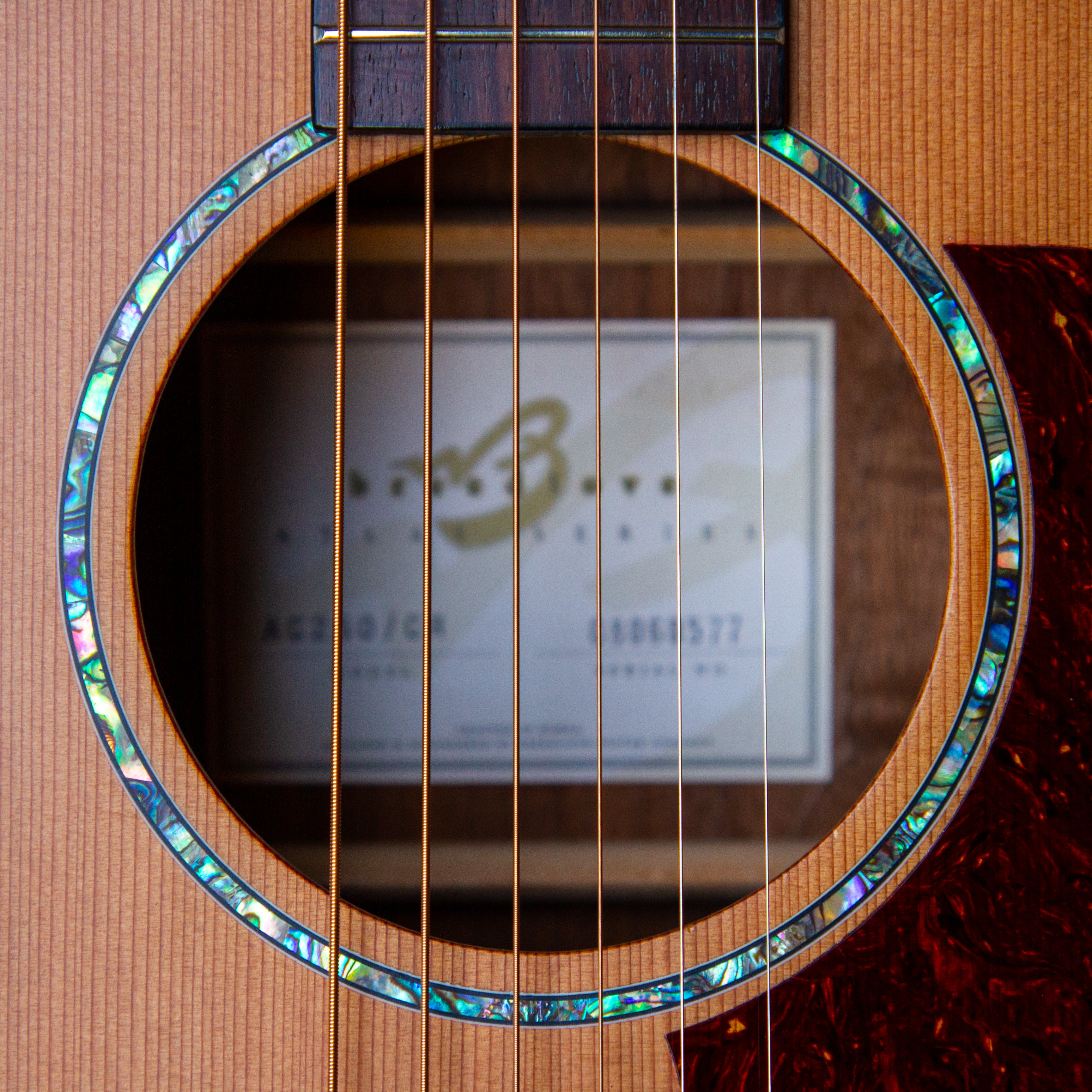 Image Profile Fabgrat27